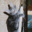 ���� Vinni Kolss, ������ ��������, 58 ��� - ��������� 18 ������� 2016 � ������ ���� ����������