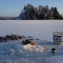 ���� �������, ������������, 49 ��� - ��������� 26 ������� 2015 � ������ ��������