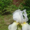 ���� �������, ��������, 66 ��� - ��������� 24 ������� 2015 � ������ ���� ����������