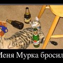 ���� �������, ������ - ��������� 12 ������� 2015 � ������ ���������