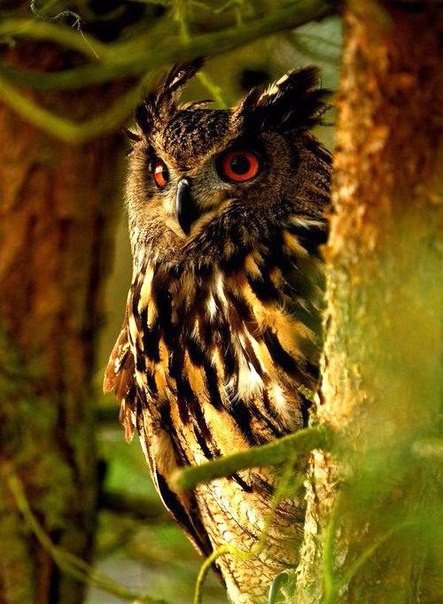   - 10  2015  13:07 - 3