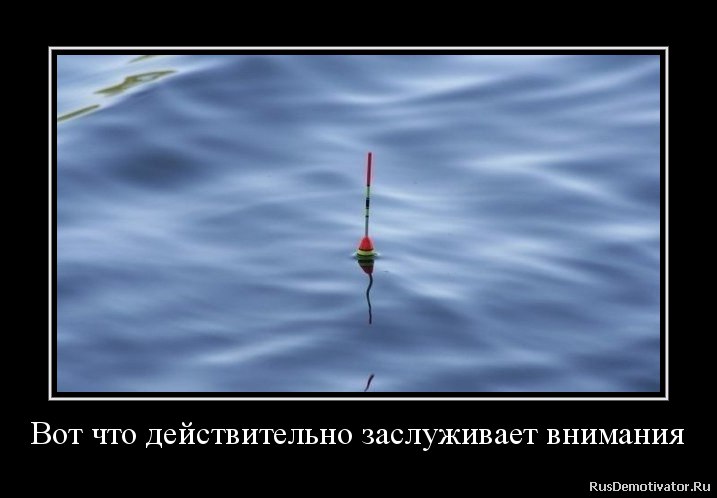   - 12  2016  14:10