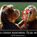 ���� ���������, ������ - ��������� 19 ������� 2016 � ������ ������ ��������