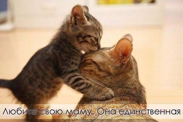 � ����� ���� - 23 ������ 2016 � 03:21