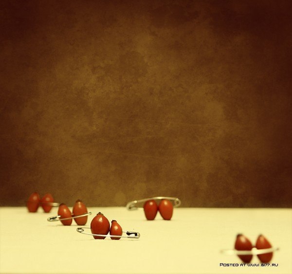 Still Life... George Rustchev - 19