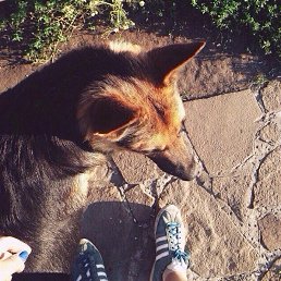 ���� ������, �����, 25 ��� - ��������� 24 ������� 2015