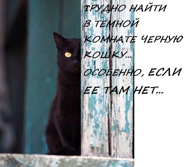 ��� ���� - 8 ������ 2016 � 20:24