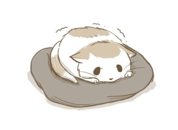       - 8  2016  08:33 - 2