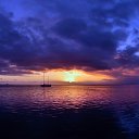 ���� �������, �������, 41 ��� - ��������� 9 ����� 2016 � ������ ������ ��������