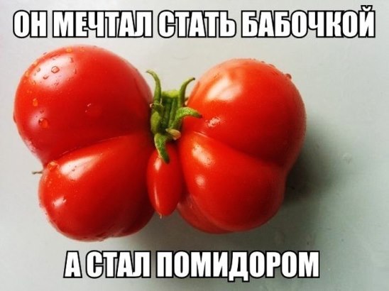   - 3  2016  20:05