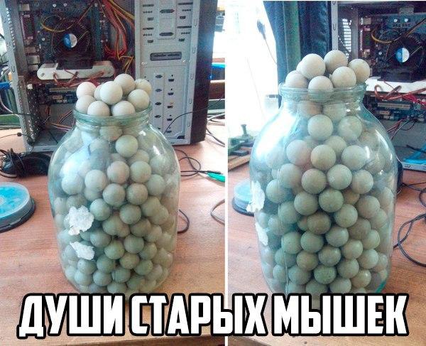 IT- - 3  2016  09:06