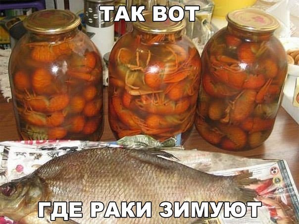    :D - 30  2015  16:37
