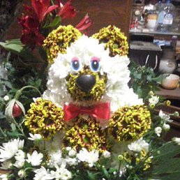 ���� ������, ��������, 38 ��� - ��������� 14 ������ 2015