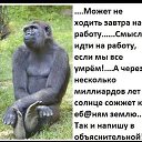 ���� �����, ���������, 44 ���� - ��������� 10 ������ 2016 � ������ ������ ��������