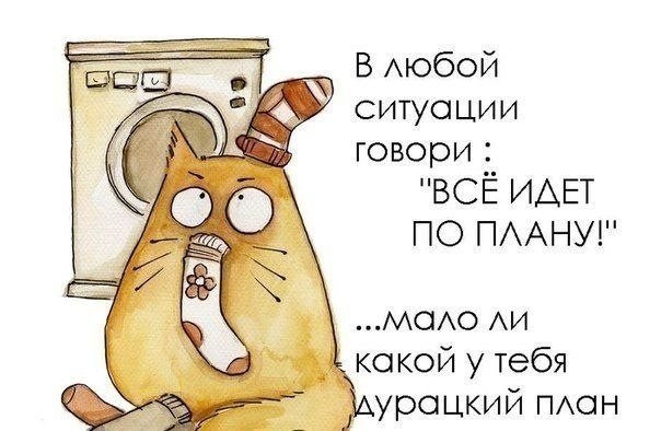       - 5  2015  20:05