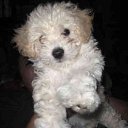 ���� ������, ������ - ��������� 25 ������ 2015 � ������ ���� ����������