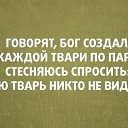 ���� ������, ����� - ��������� 20 ������ 2015 � ������ ������ ��������