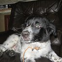 ����� �� ������� ���� ����������