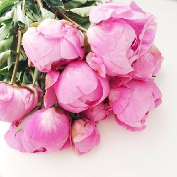    - 22  2015  03:03 - 2