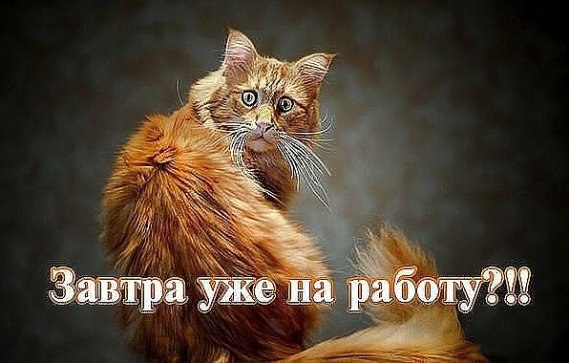   - 24  2016  19:33