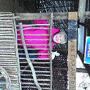 ���� ������, ���������, 65 ��� - ��������� 17 ������ 2016 � ������ ���� ����������