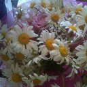�������� - ���� ��� ������)) - ����� �� ��... �� ������� ���� ����������