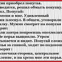 ���� ��������, ���������, 49 ��� - ��������� 8 ���� 2016 � ������ ������ ��������