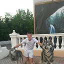  , , 33  -  16  2016   z