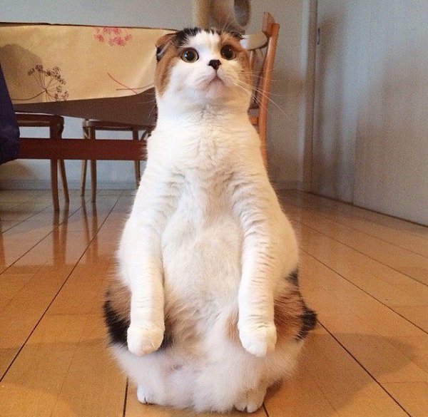   ?