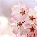 ���� ������, ��� - ��������� 4 ������ 2016 � ������ ������ ��������