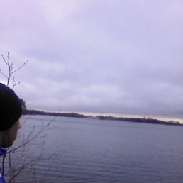 ���� �����, ������, 44 ���� - ��������� 17 ������ 2016