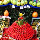 ���� Concilliano, �������, 57 ��� - ��������� 6 ��� 2016 � ������ ���� ����������