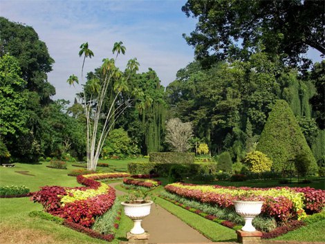    (Royal Botanical Garden)       .   ... - 2