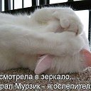 ���� ����� �����, ����, 50 ��� - ��������� 19 ���� 2016 � ������ �������� ������