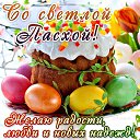 ���� ����, ��������, 51 ��� - ��������� 1 ��� 2016 � ������ ������ ��������