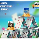 ���� �����, ������, 41 ��� - ��������� 4 �������� 2016 � ������ �������� �������-�������