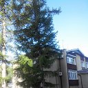  Vova, , 62  -  28  2016    