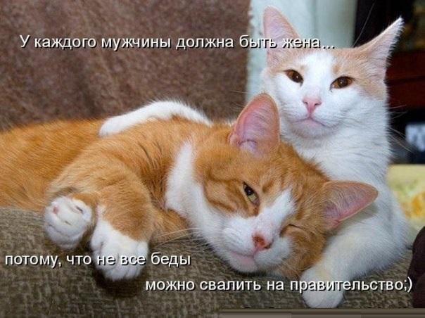       - 16  2016  17:00