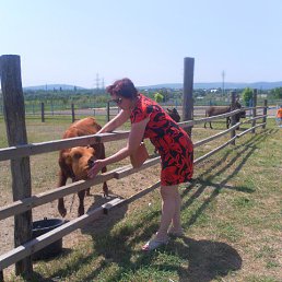 ����, ���, 52 ����