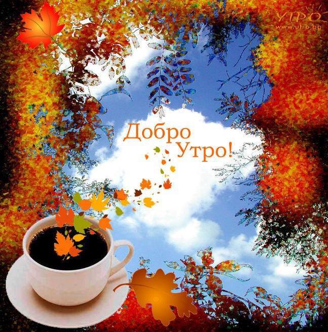 https://fotostrana.ru/away?to=/sl/XW63