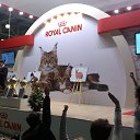  , , 35  -  12  2016   Moscow December 2013