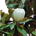  , , 60  -  6  2016   ,04.-06.06.16.