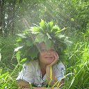 ���� �����, ������ - ��������� 11 ���� 2016 � ������ ���� ����������