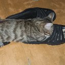 �������� ����� �� ������� ���� ����������