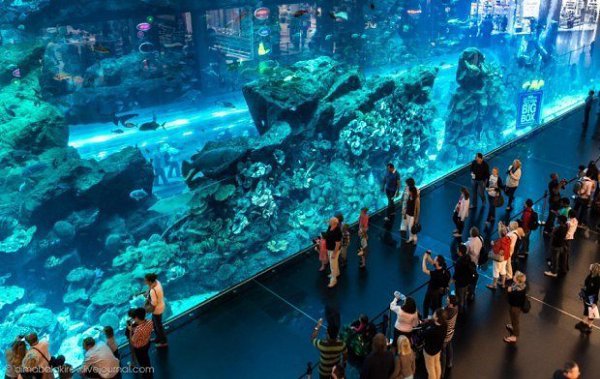   .Dubai Mall   - ,   ...