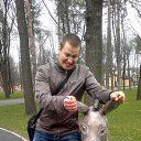 ���� ������, ��������� - ��������� 25 ������� 2016