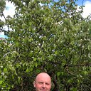 ���� ������, �����, 44 ���� - ��������� 9 ��� 2016 � ������ ���� ����������