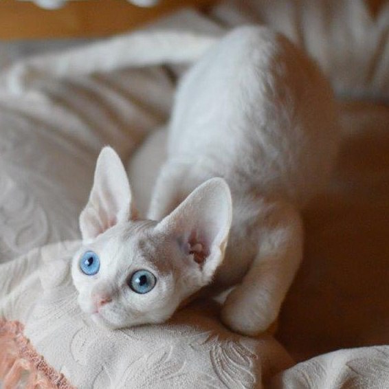 О!!!Эти глаза!!!!!