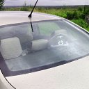 ���� �����, �����������, 59 ��� - ��������� 8 ������� 2016 � ������ ���� ����������