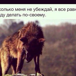  Ras, , 38  -  25  2016